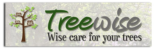 Tree Wise Services in Kerry