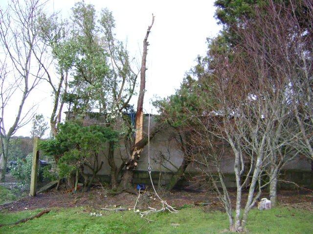 Storm 2013-14 001-1