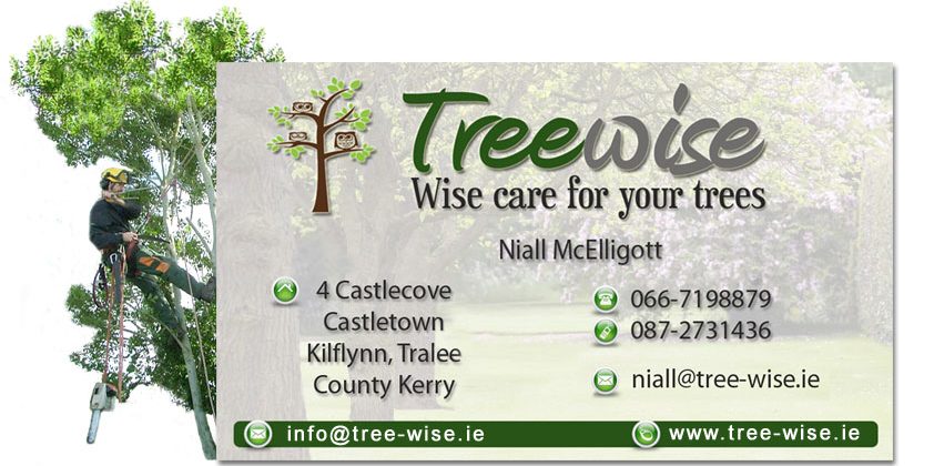 tree_care_tree_wise_details